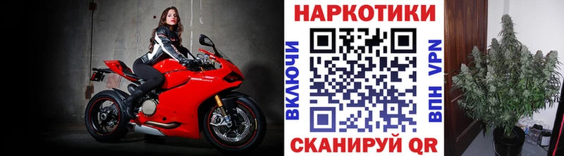 Купить наркотик Шелехов ГАШ  Псилоцибиновые грибы  COCAIN  Мефедрон  Марихуана  A-PVP 
