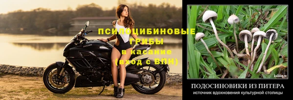 соль курить ск Михайловка